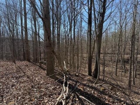 3 South Pittsburg Mountain South Pittsburg TN 37380