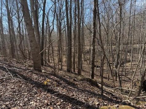3 South Pittsburg Mountain South Pittsburg TN 37380