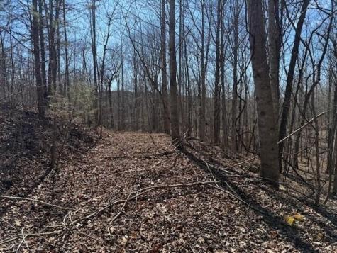 3 South Pittsburg Mountain South Pittsburg TN 37380