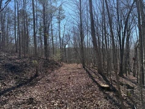 3 South Pittsburg Mountain South Pittsburg TN 37380