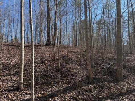 3 South Pittsburg Mountain South Pittsburg TN 37380