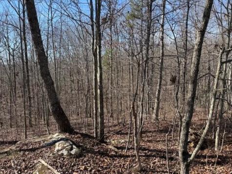 3 South Pittsburg Mountain South Pittsburg TN 37380