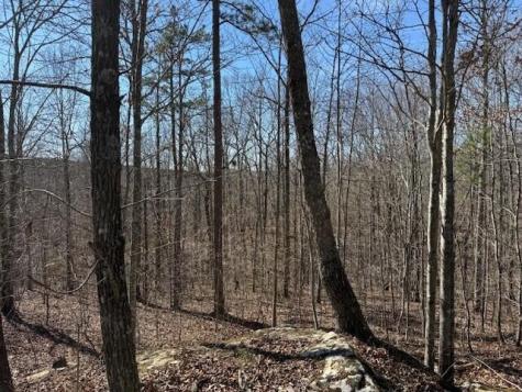 3 South Pittsburg Mountain South Pittsburg TN 37380