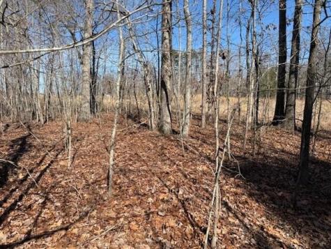 3 South Pittsburg Mountain South Pittsburg TN 37380