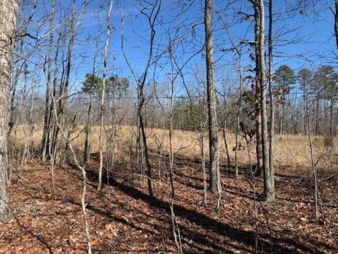 3 South Pittsburg Mountain South Pittsburg TN 37380