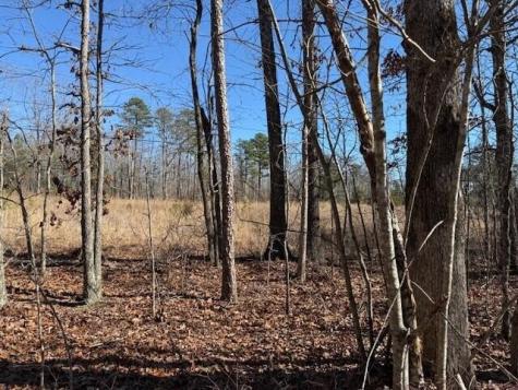3 South Pittsburg Mountain South Pittsburg TN 37380