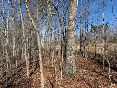 3 South Pittsburg Mountain South Pittsburg TN 37380