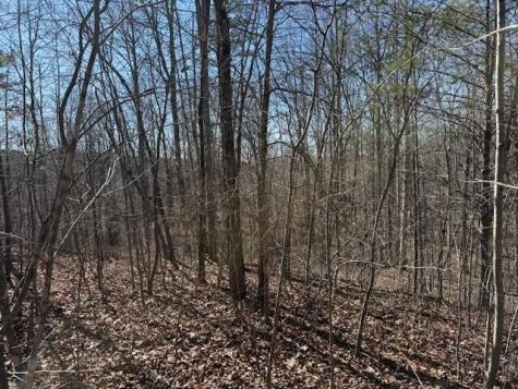 3 South Pittsburg Mountain South Pittsburg TN 37380