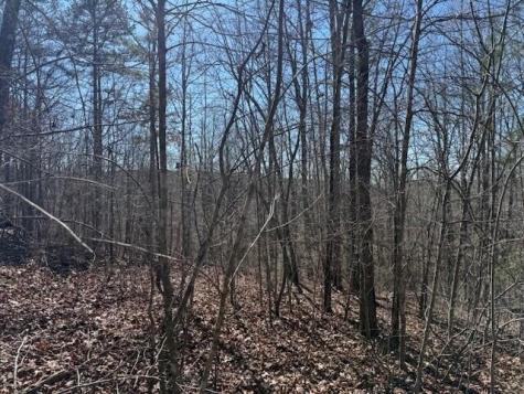 3 South Pittsburg Mountain South Pittsburg TN 37380