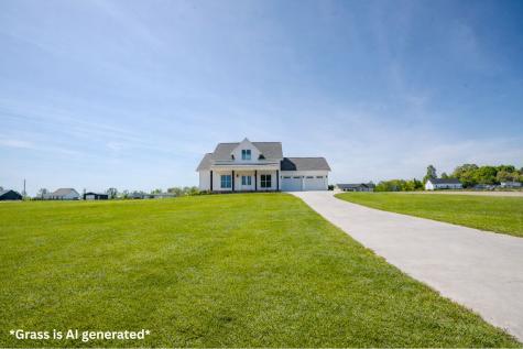 161 Bear Lane Loretto TN 38469