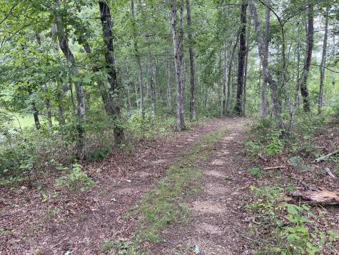 42 Chickory Lane Monteagle TN 37356