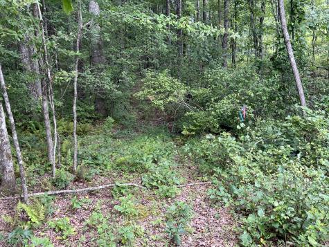 42 Chickory Lane Monteagle TN 37356