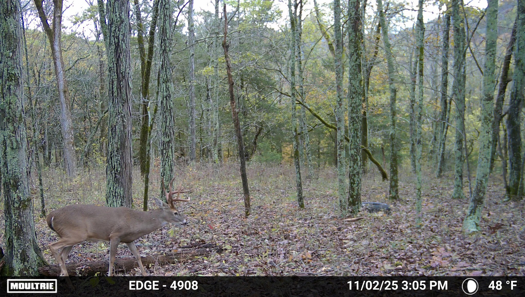 0 Duke Hollow Lane Carthage TN 37030