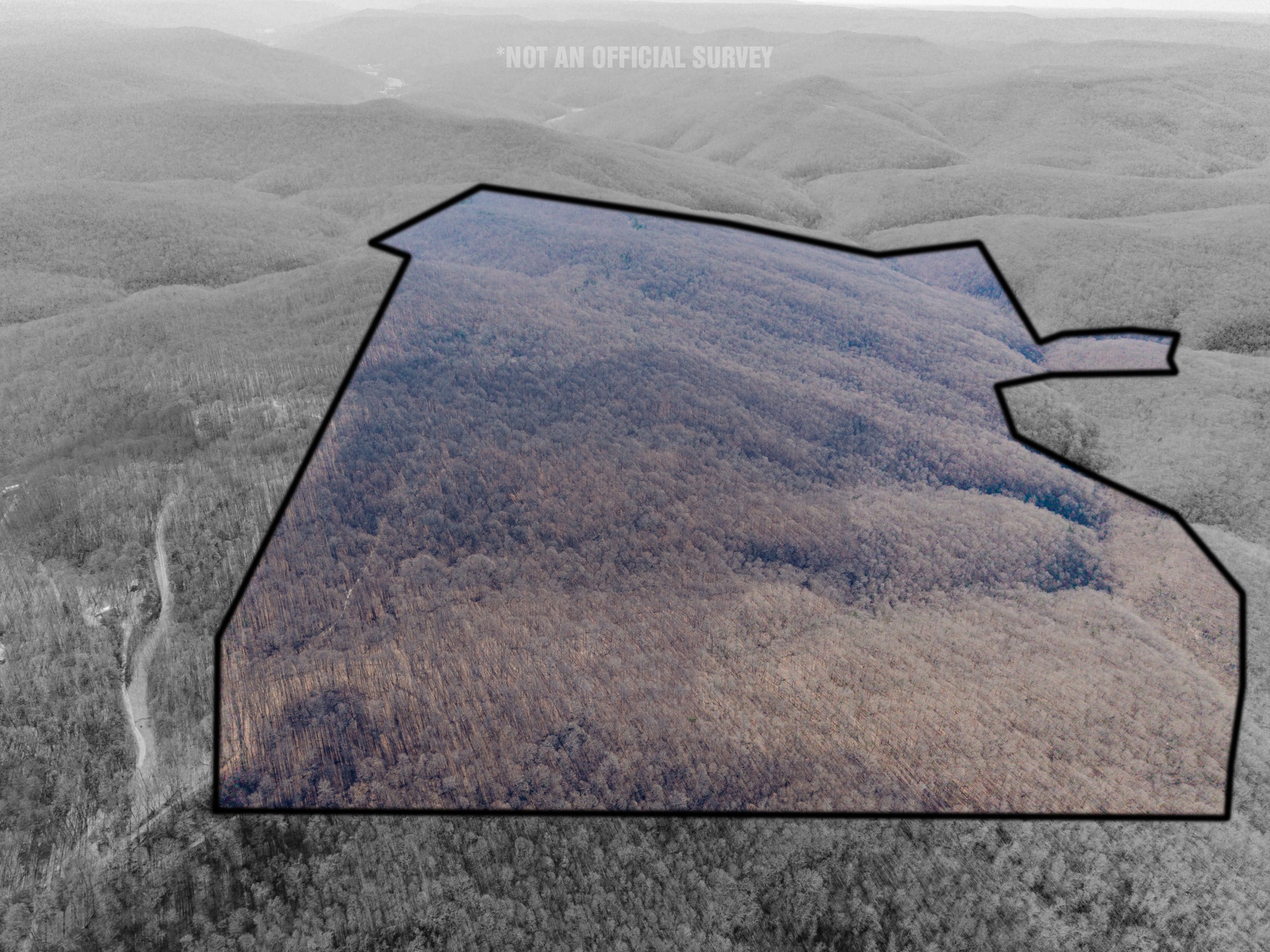 0 Murrell Bench Road Belvidere TN 37306