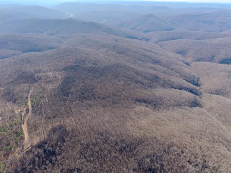 0 Murrell Bench Road Belvidere TN 37306