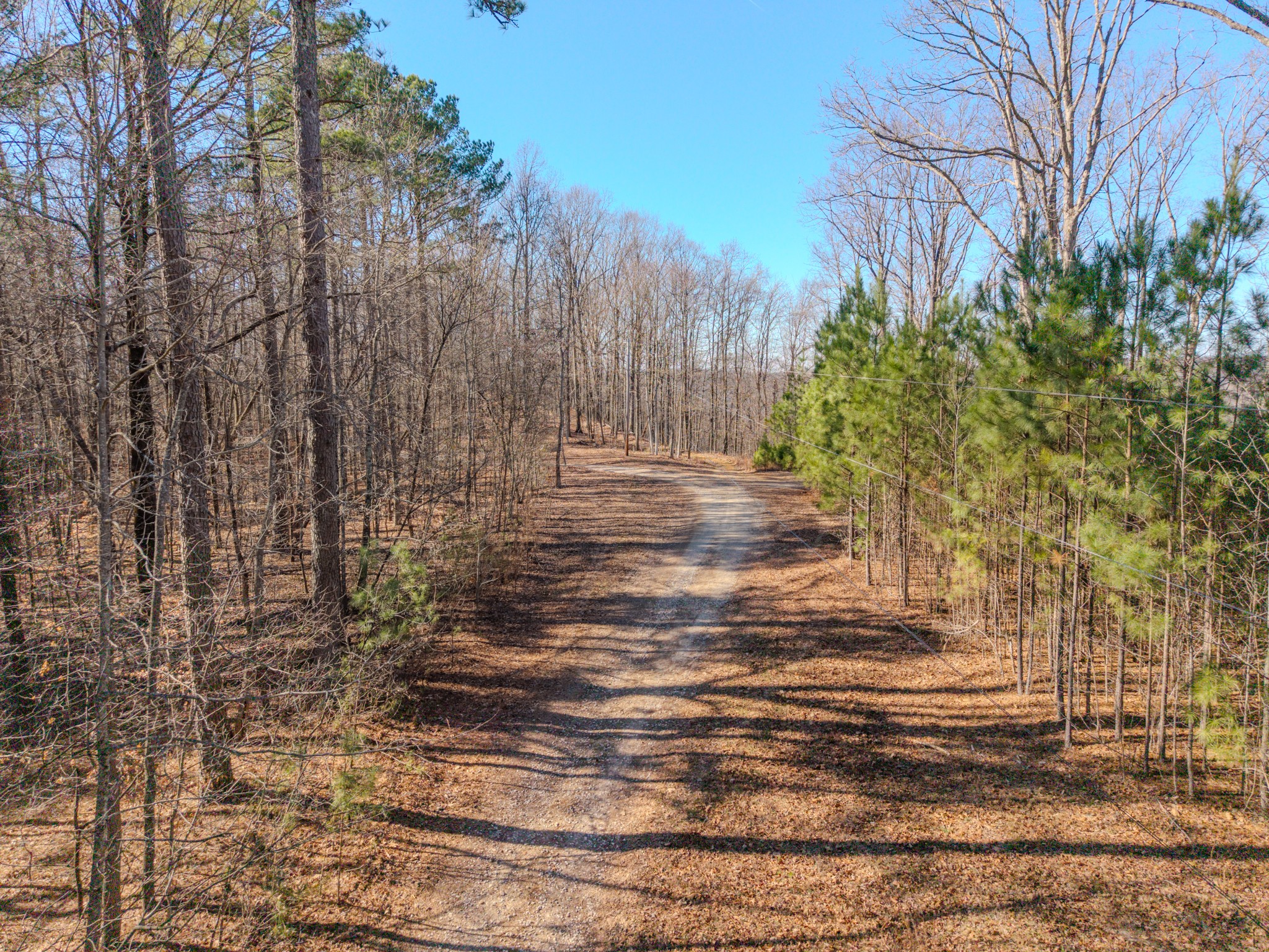 0 Murrell Bench Road Belvidere TN 37306