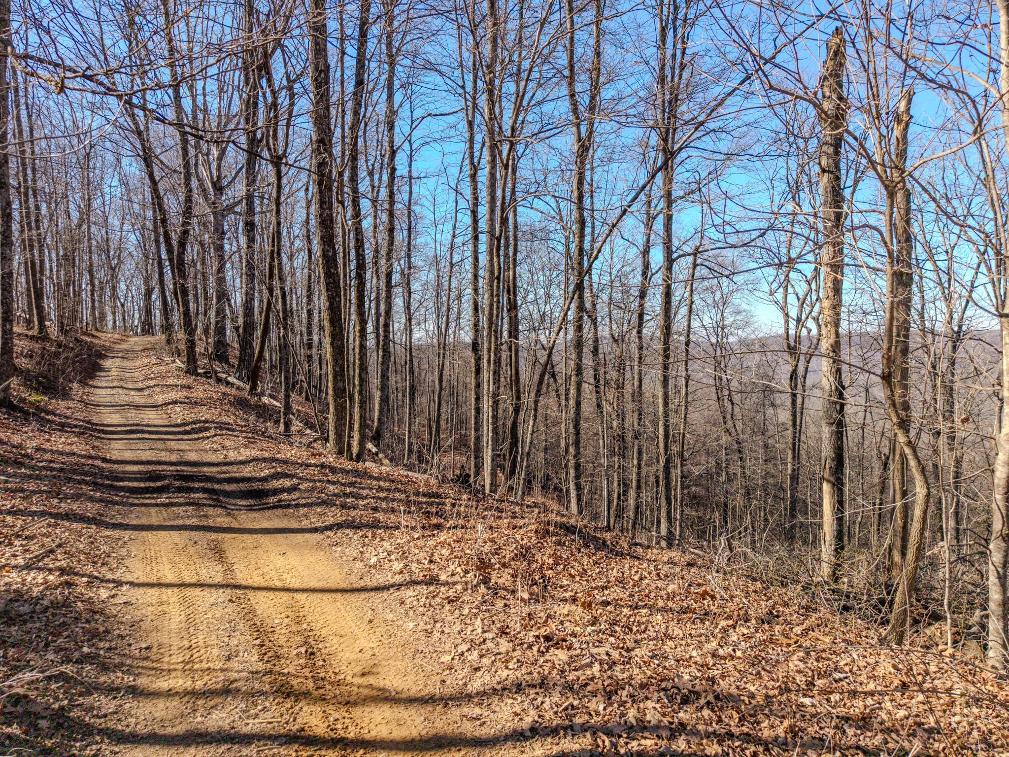 0 Murrell Bench Road Belvidere TN 37306