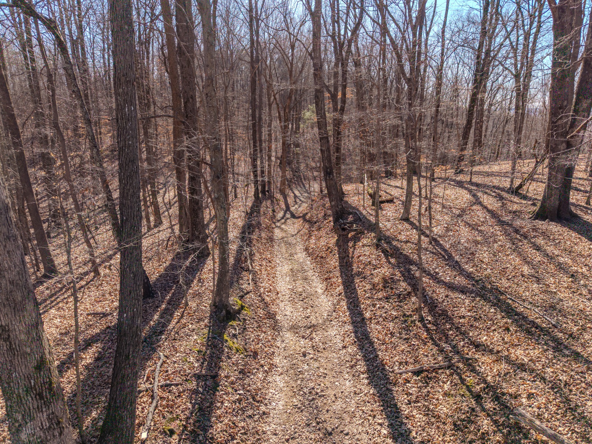 0 Murrell Bench Road Belvidere TN 37306