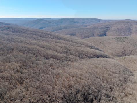 0 Murrell Bench Road Belvidere TN 37306