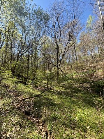 2490 Tackets Branch Road Prospect TN 38477