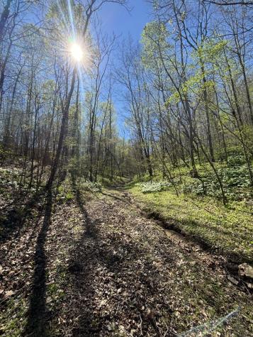 2490 Tackets Branch Road Prospect TN 38477