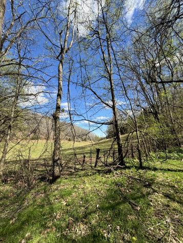 2490 Tackets Branch Road Prospect TN 38477