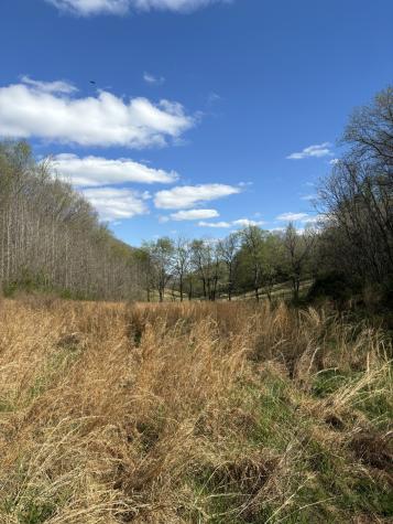 2490 Tackets Branch Road Prospect TN 38477