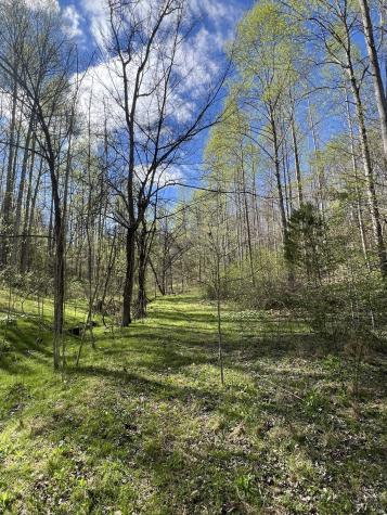 2490 Tackets Branch Road Prospect TN 38477