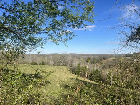 2490 Tackets Branch Road Prospect TN 38477