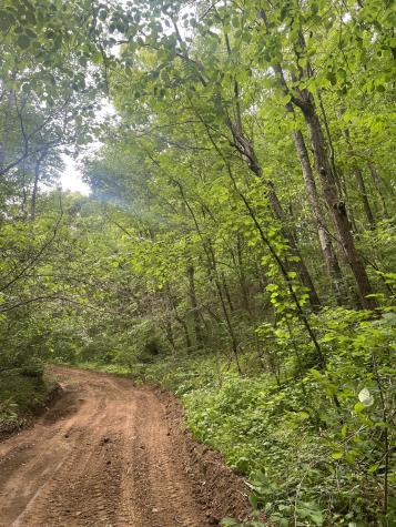 2490 Tackets Branch Road Prospect TN 38477