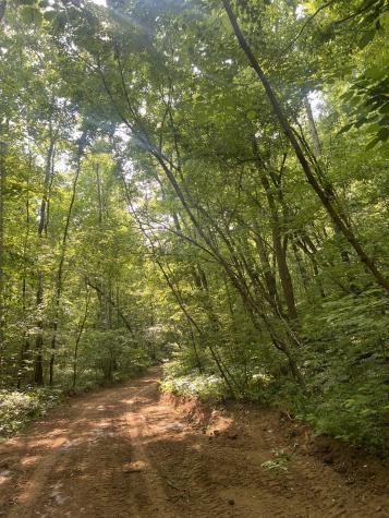 2490 Tackets Branch Road Prospect TN 38477