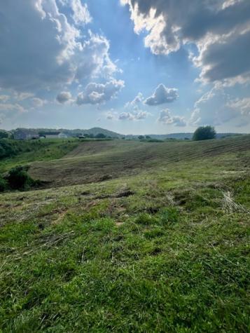 2190 Sullivan Knowles Road Sparta TN 38583