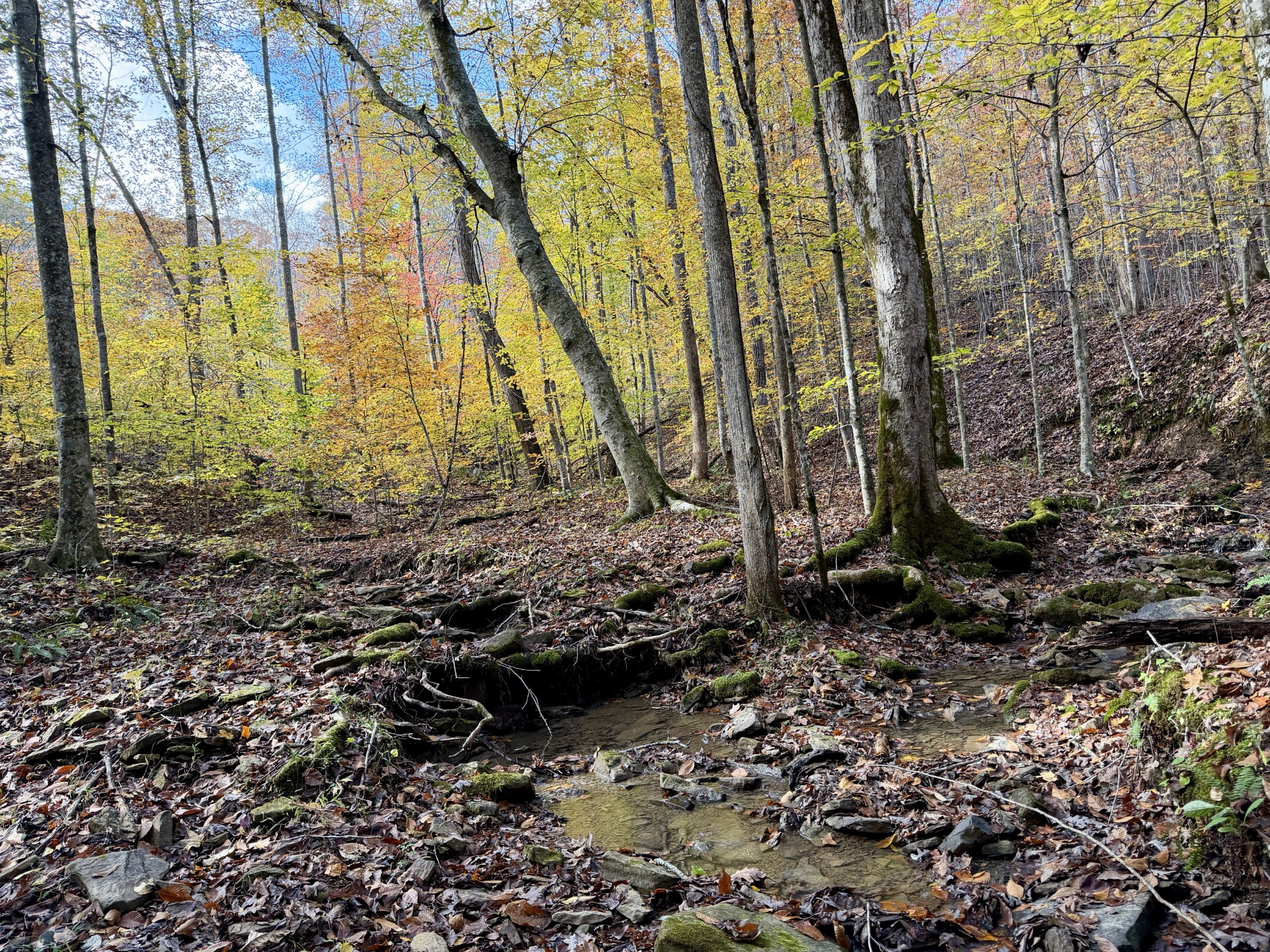 1 Robbins Road, E Robbins TN 37852