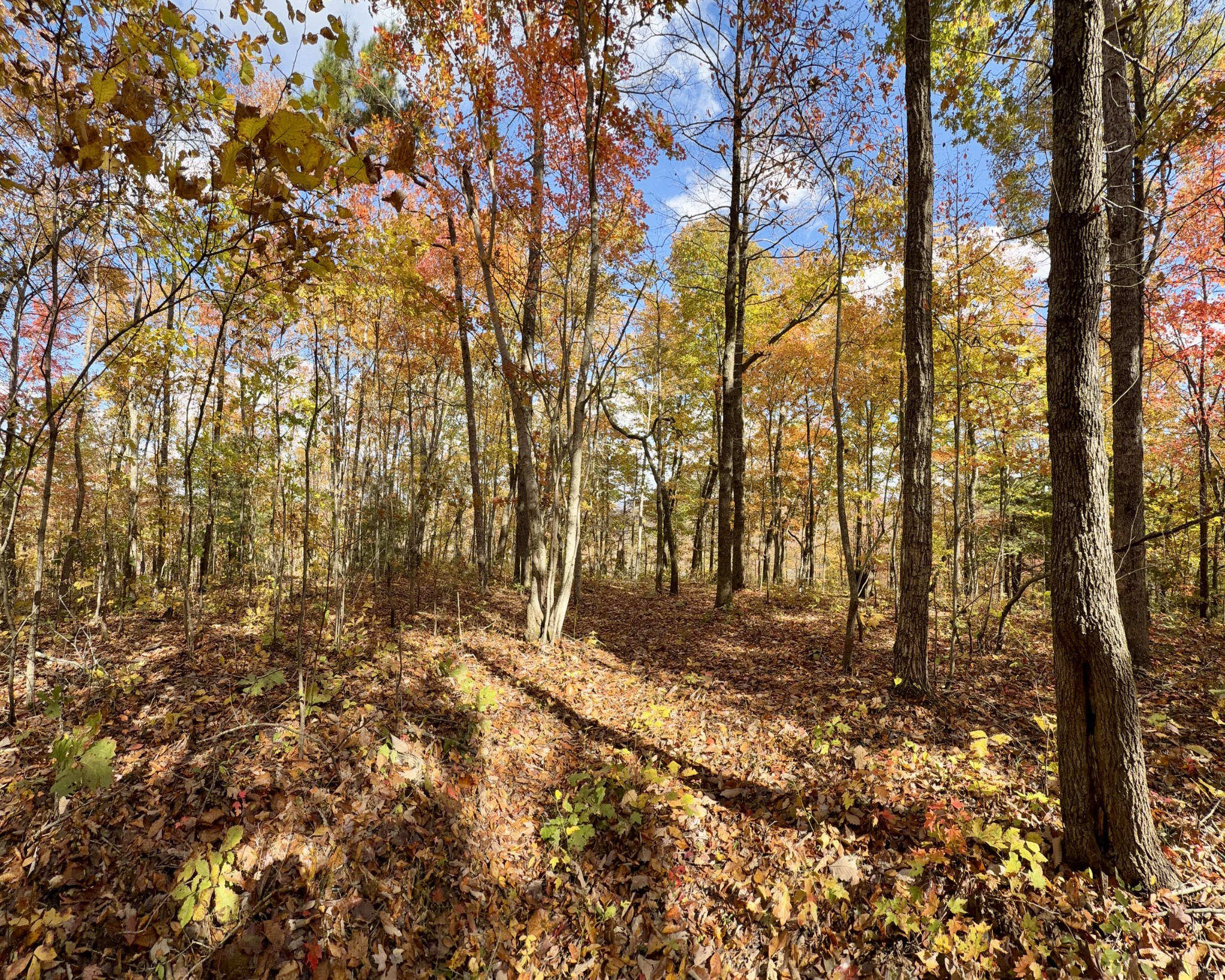 1 Robbins Road, E Robbins TN 37852