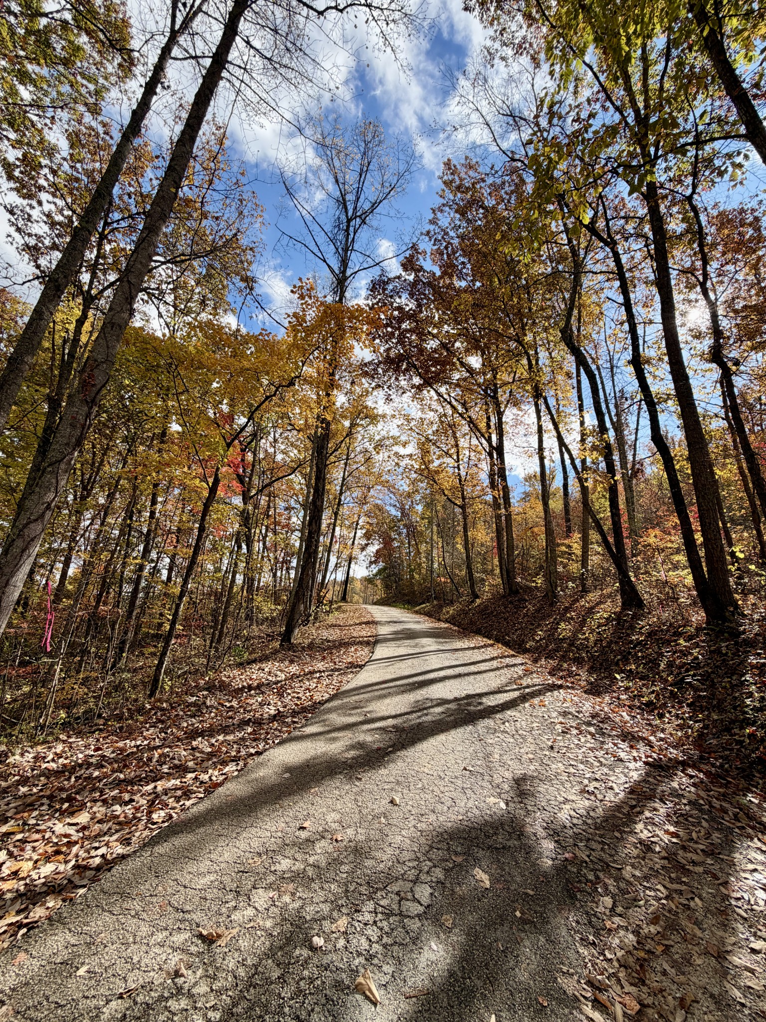 1 Robbins Road, E Robbins TN 37852