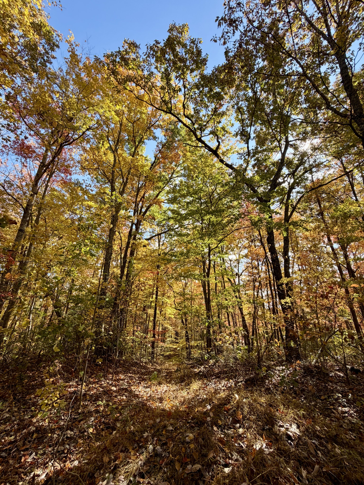 1 Robbins Road, E Robbins TN 37852