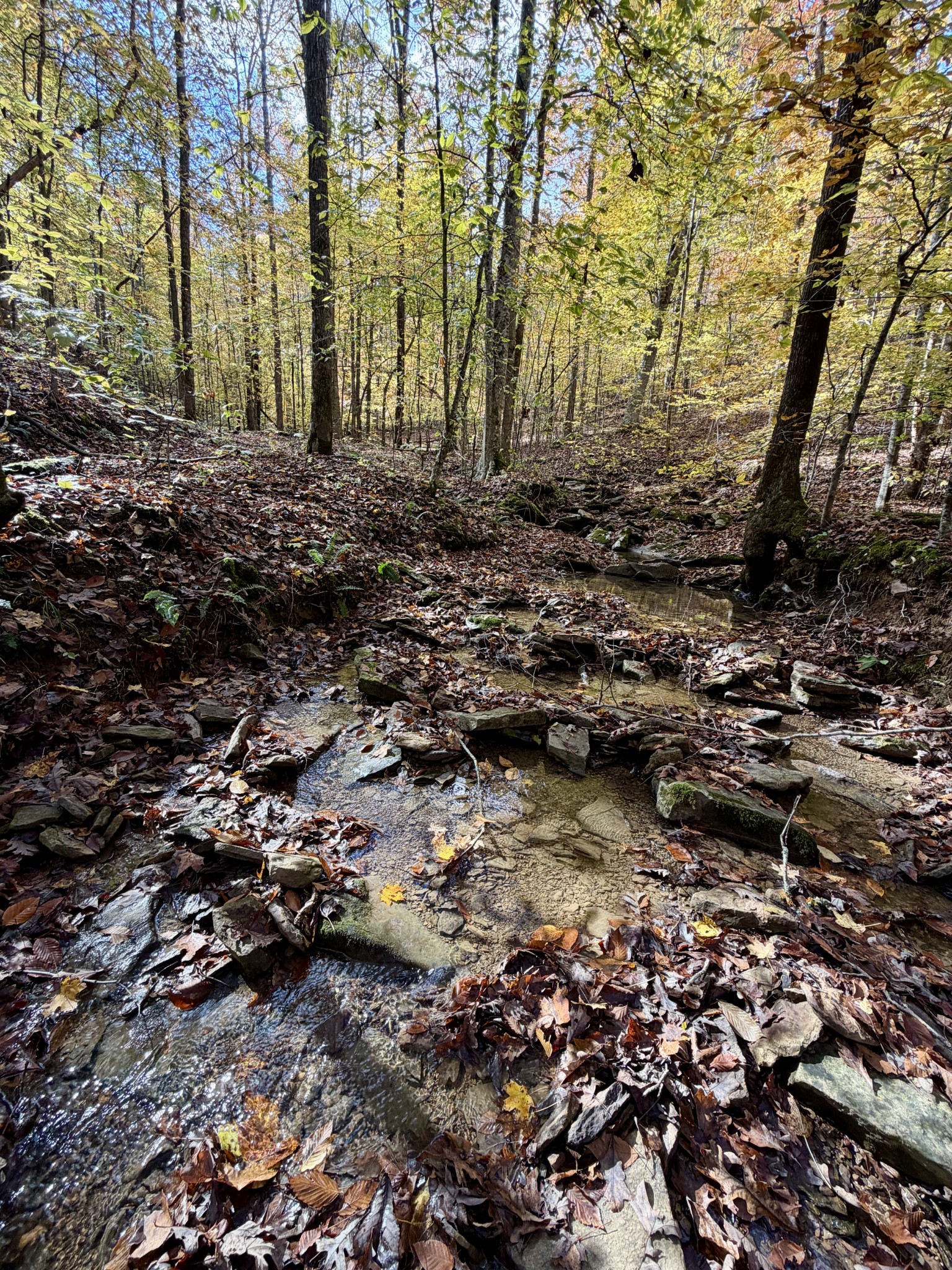 1 Robbins Road, E Robbins TN 37852