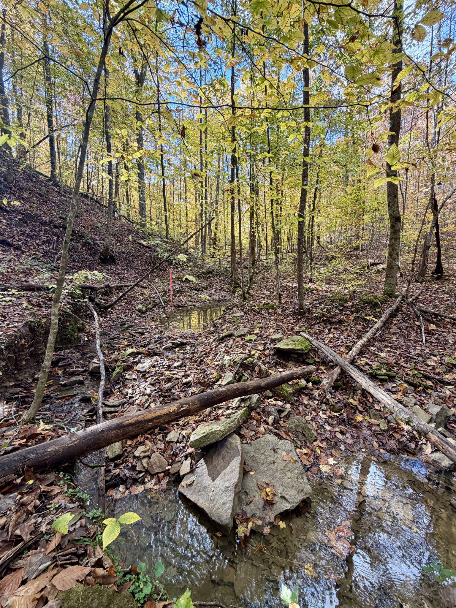 1 Robbins Road, E Robbins TN 37852