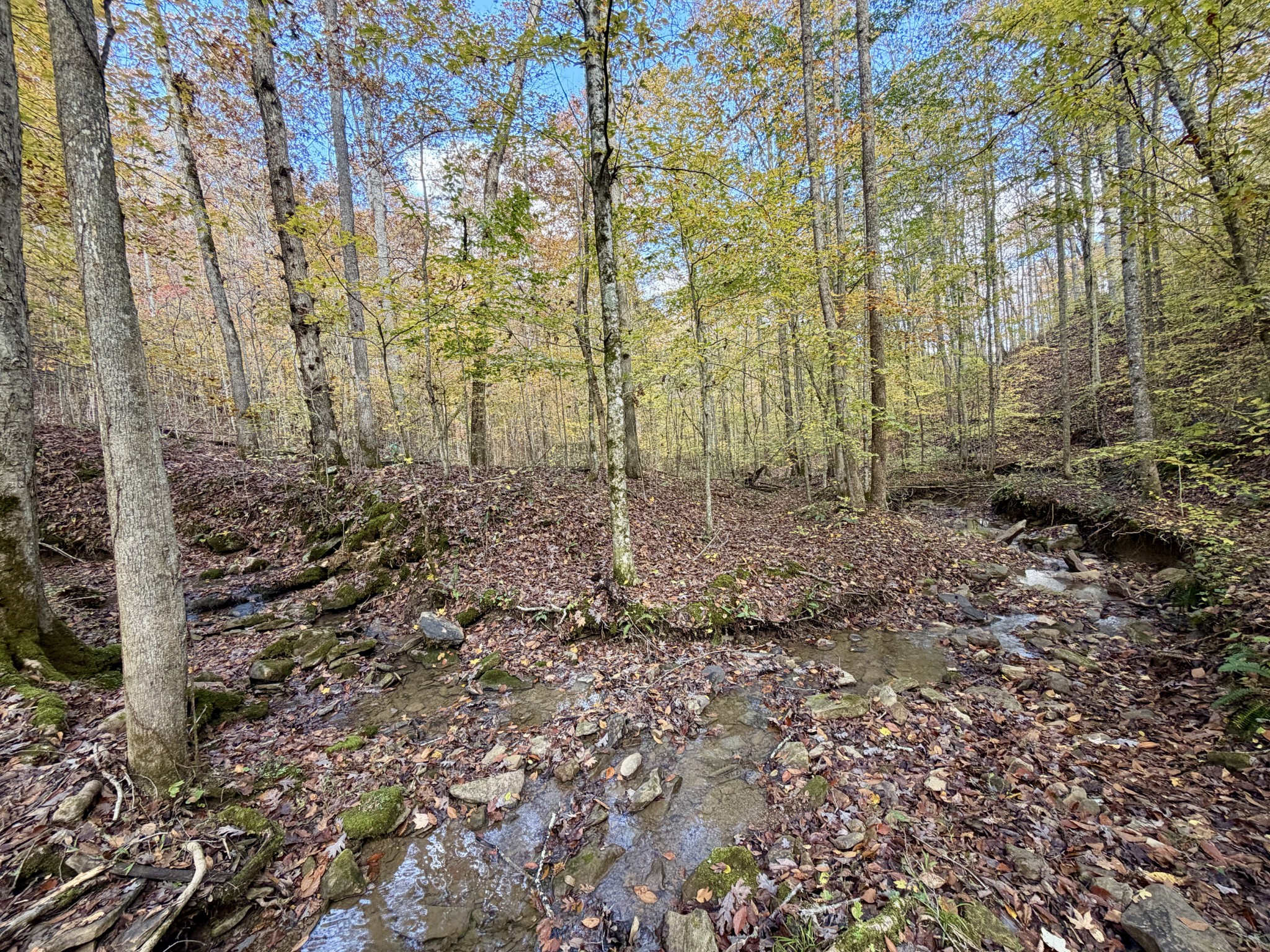 1 Robbins Road, E Robbins TN 37852