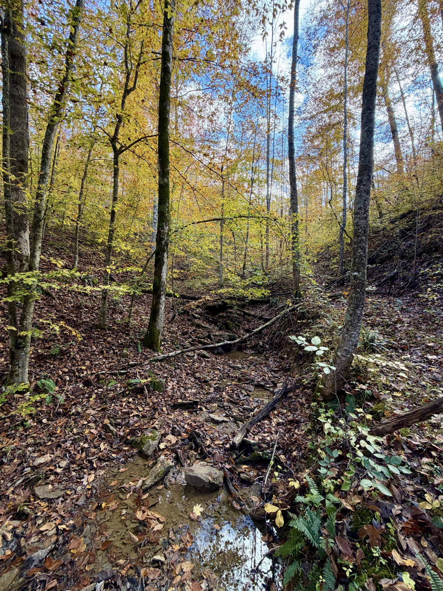 1 Robbins Road, E Robbins TN 37852