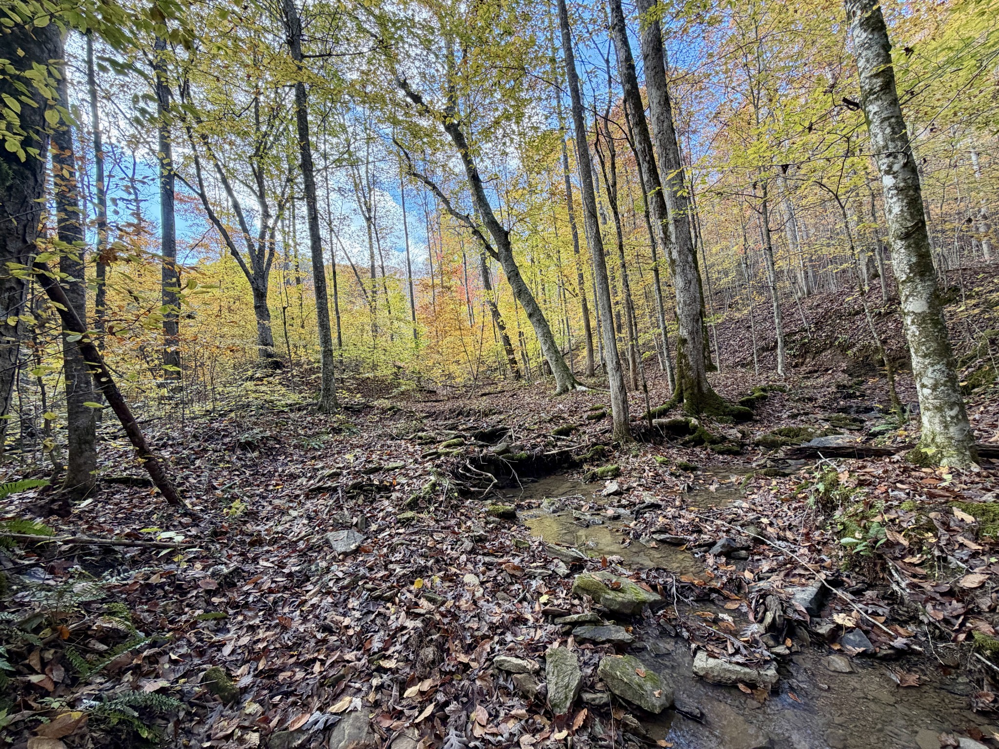 1 Robbins Road, E Robbins TN 37852