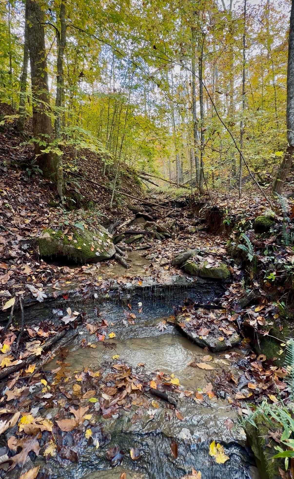 1 Robbins Road, E Robbins TN 37852