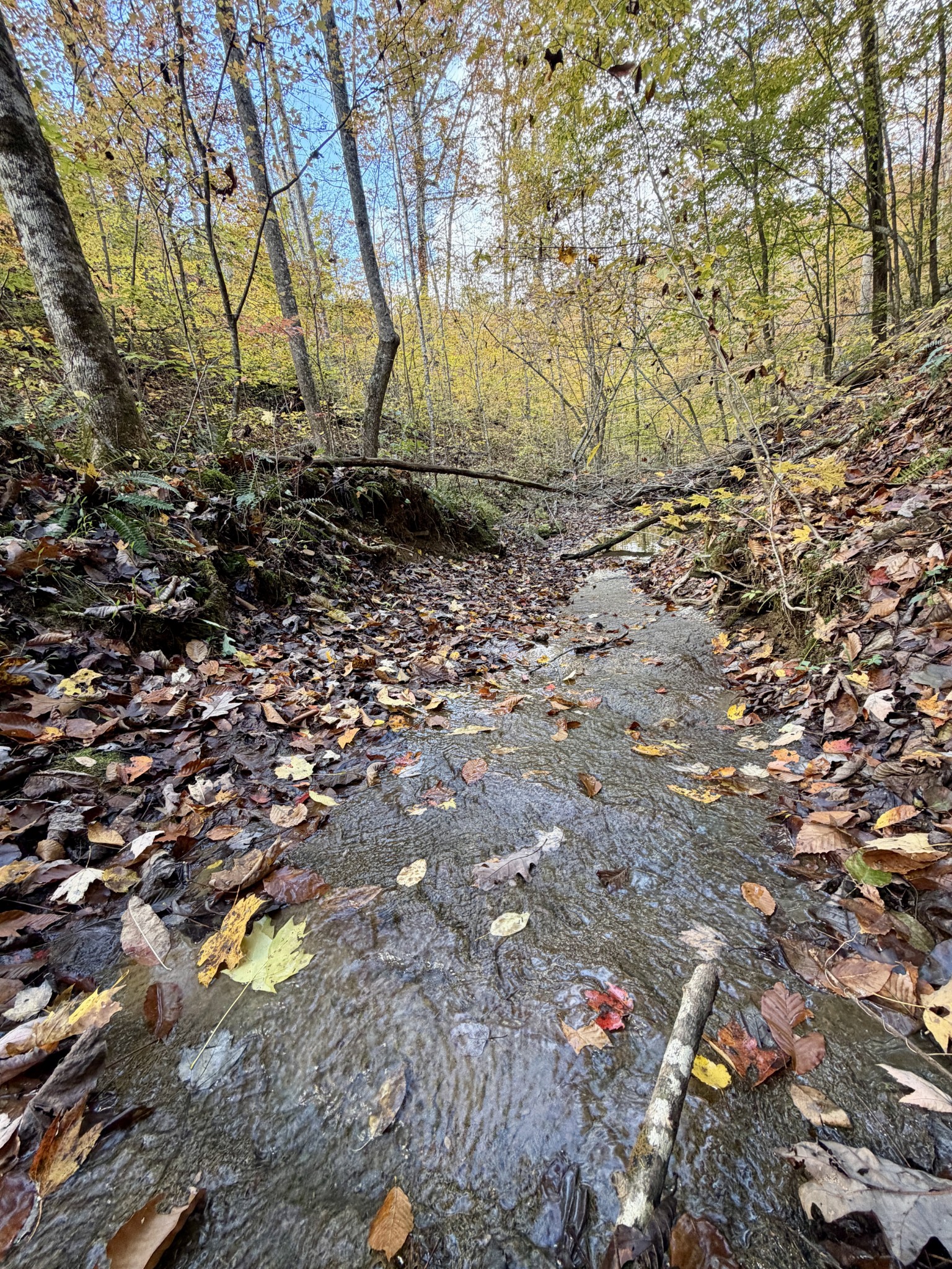 1 Robbins Road, E Robbins TN 37852