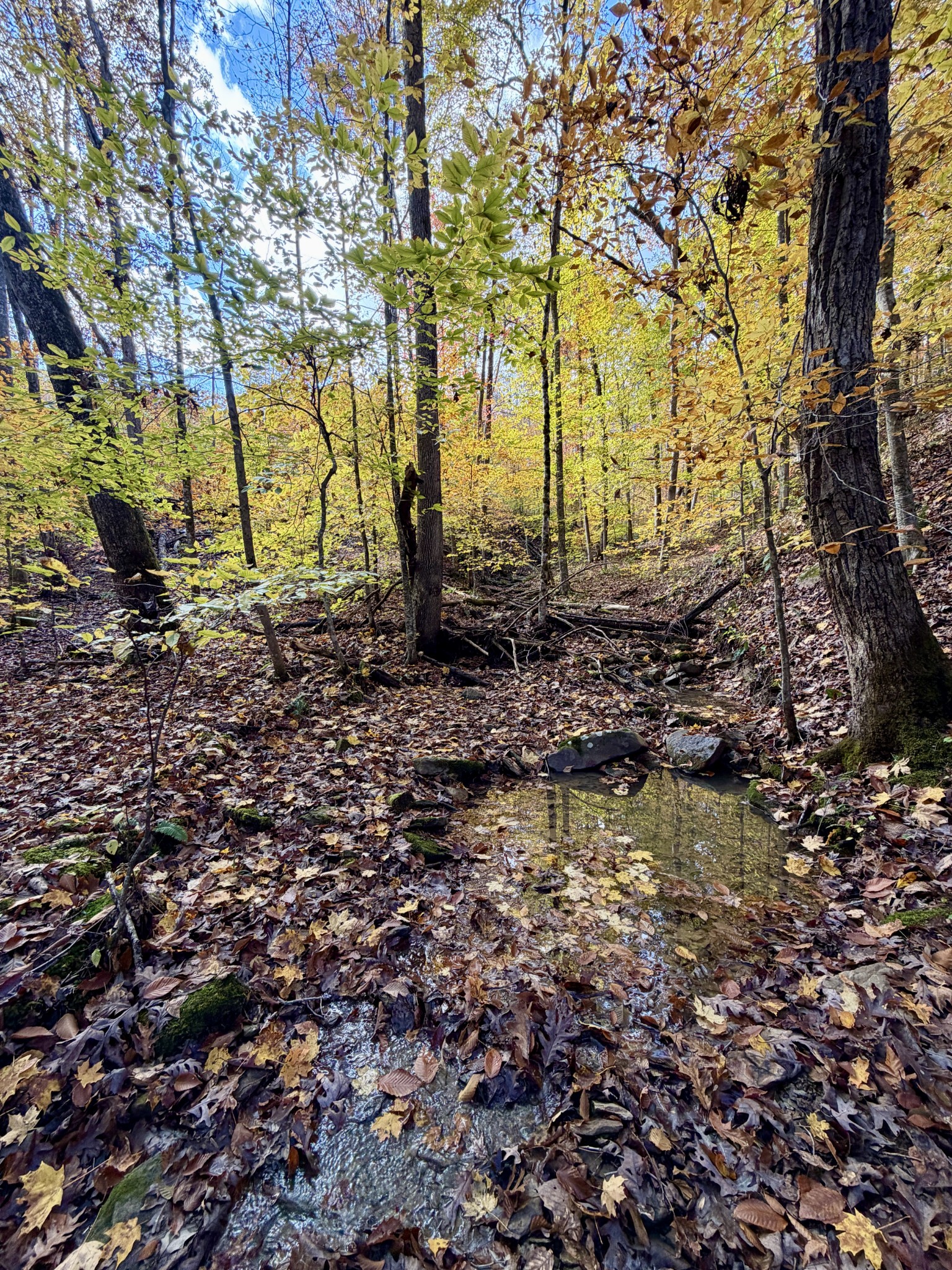 1 Robbins Road, E Robbins TN 37852