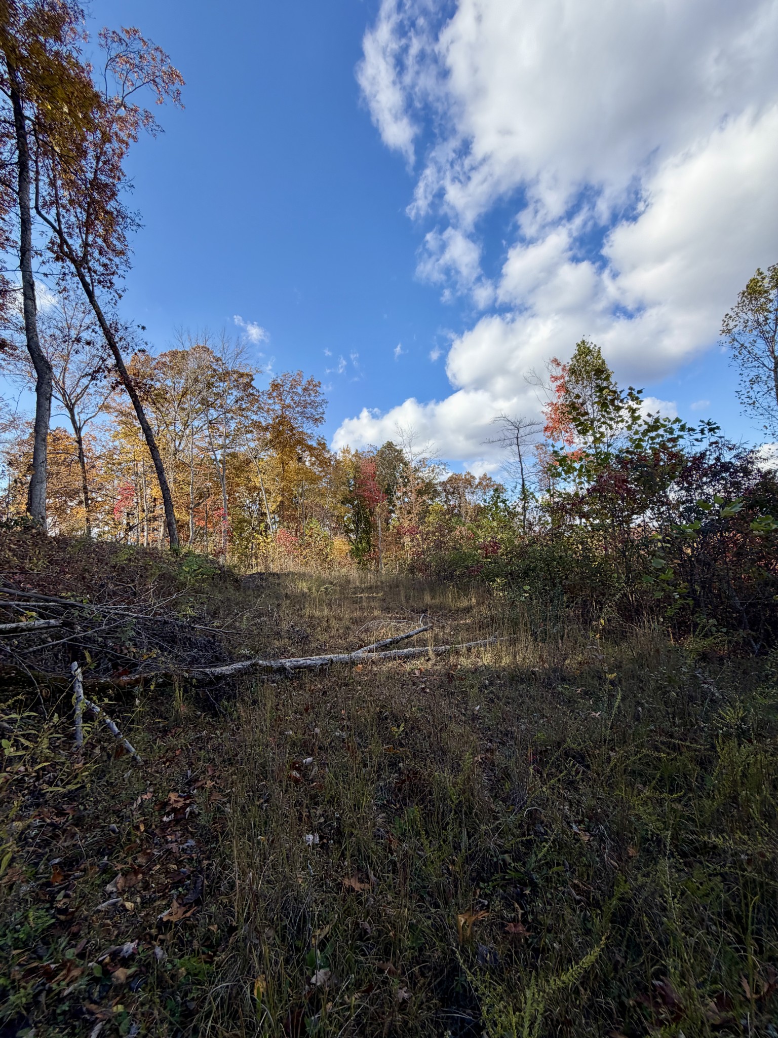 1 Robbins Road, E Robbins TN 37852