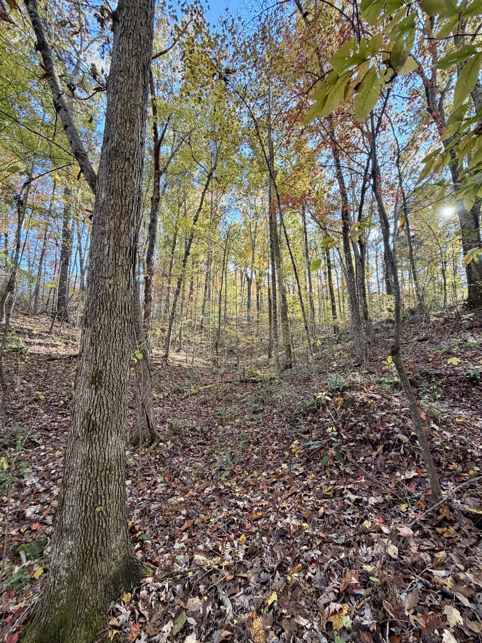 1 Robbins Road, E Robbins TN 37852