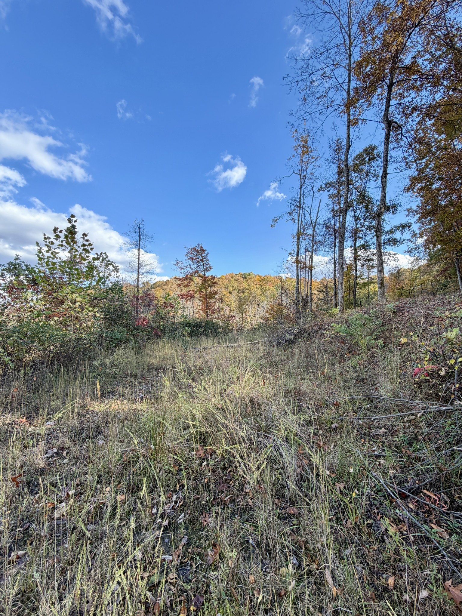 1 Robbins Road, E Robbins TN 37852