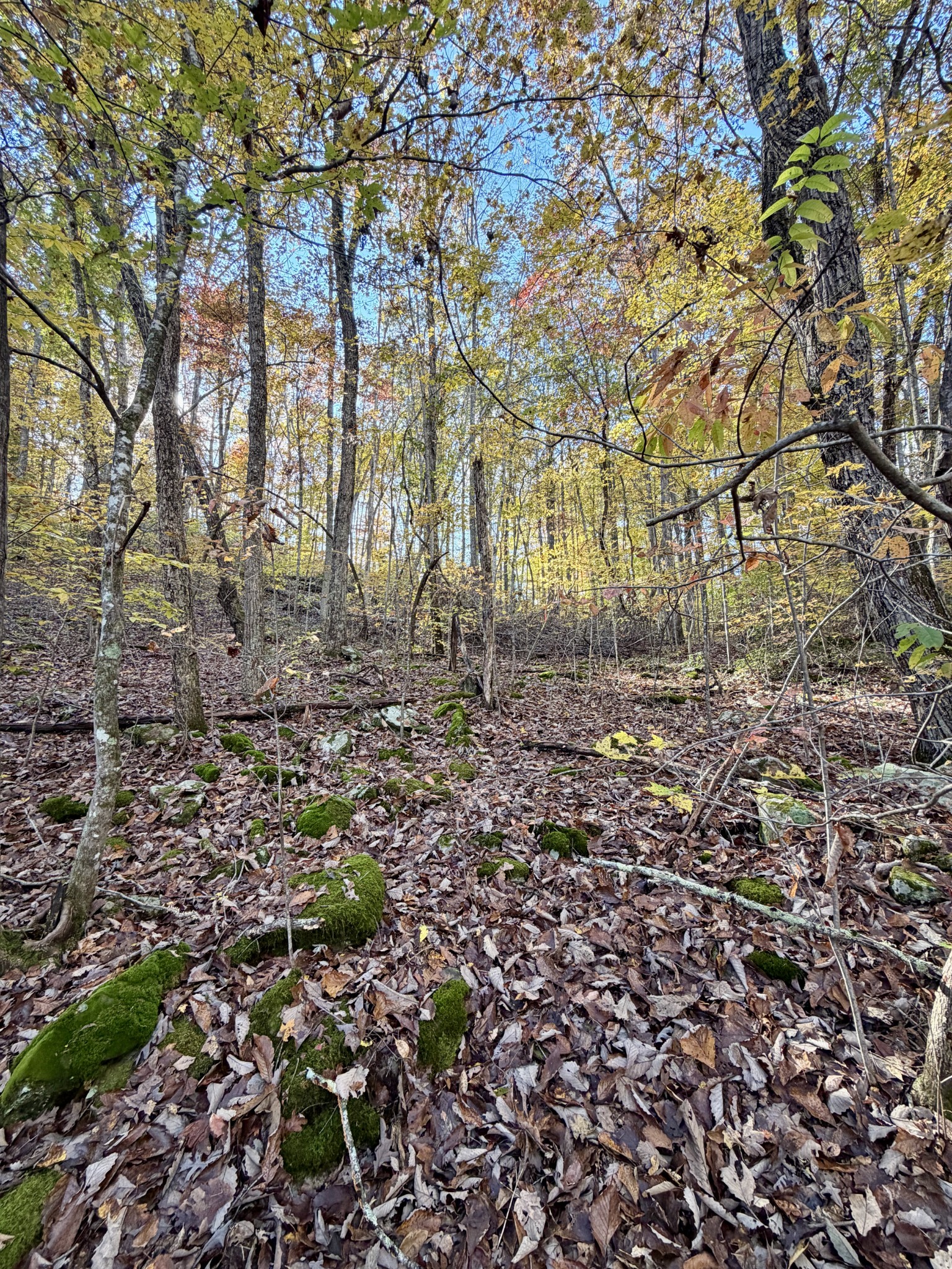 1 Robbins Road, E Robbins TN 37852
