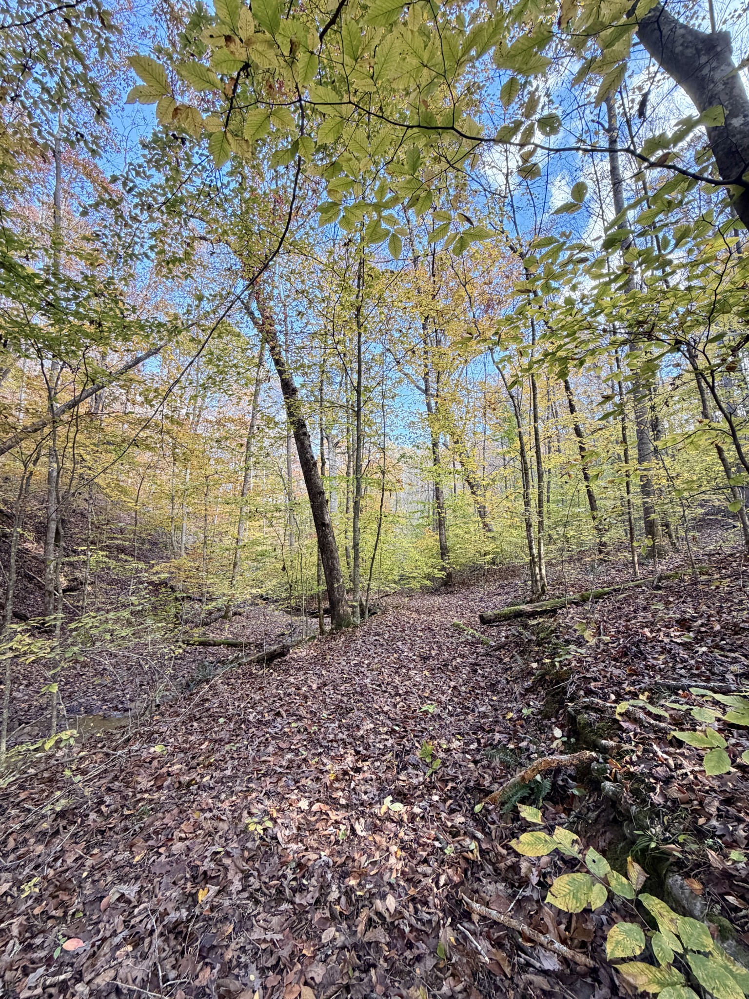 1 Robbins Road, E Robbins TN 37852