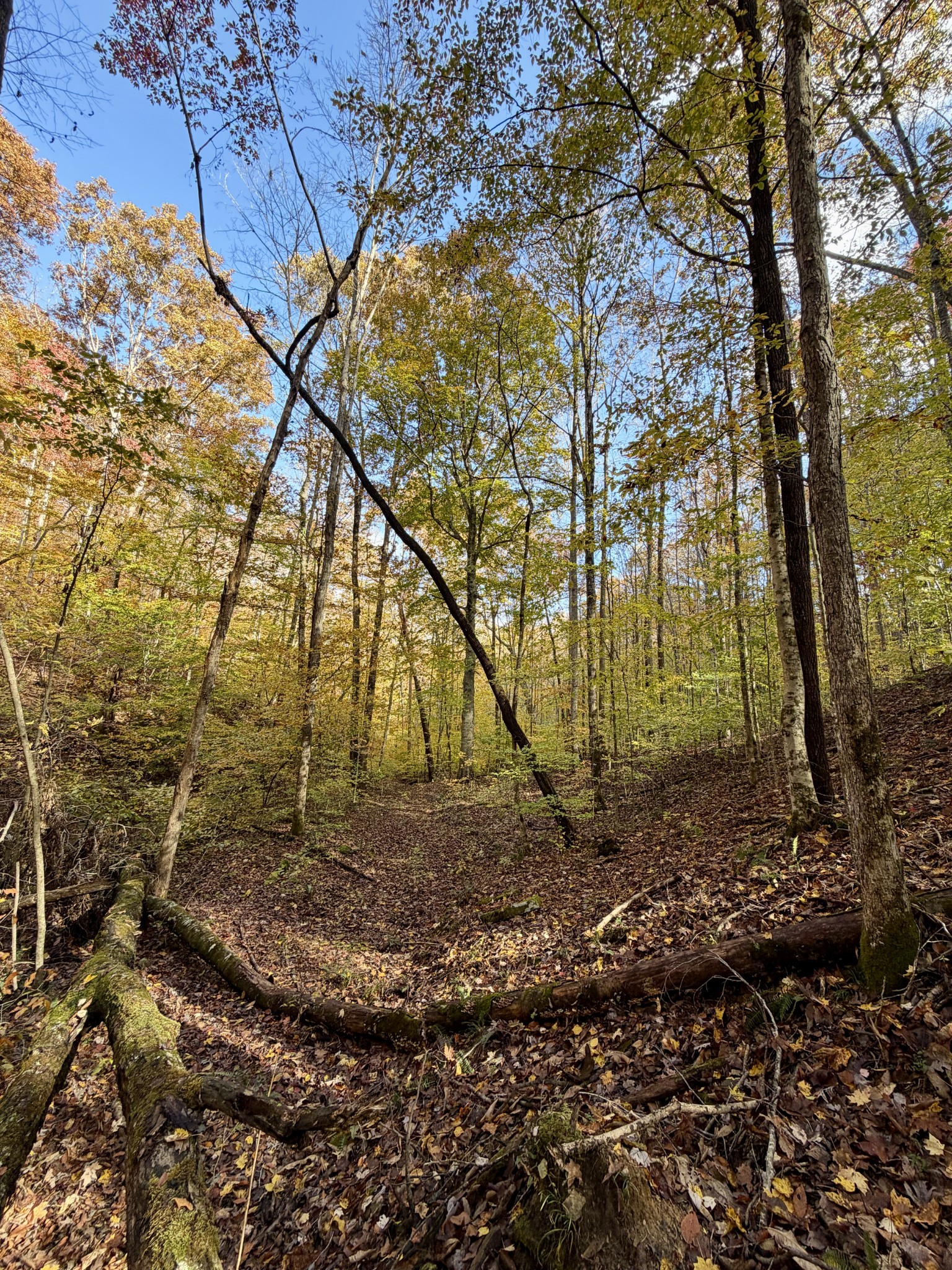 1 Robbins Road, E Robbins TN 37852